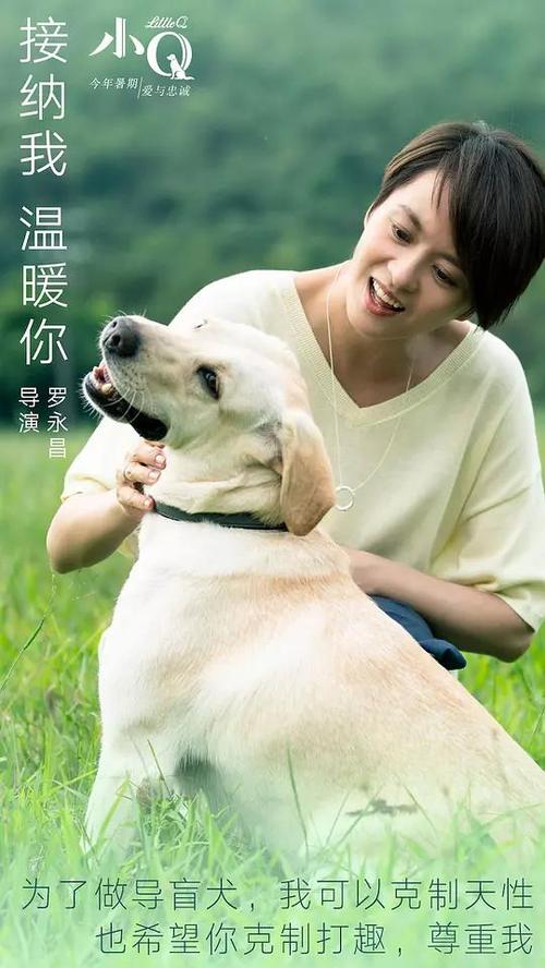 湖南高中毕业证样本封面